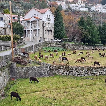 Casa Da Cantareira Loriga Bagian luar foto